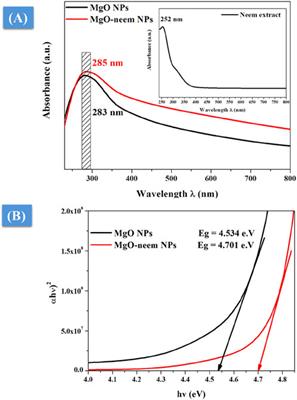 Assessment of the bioactivity of bioinspired magnesium oxide nanoparticles from the Azadirachta indica extract